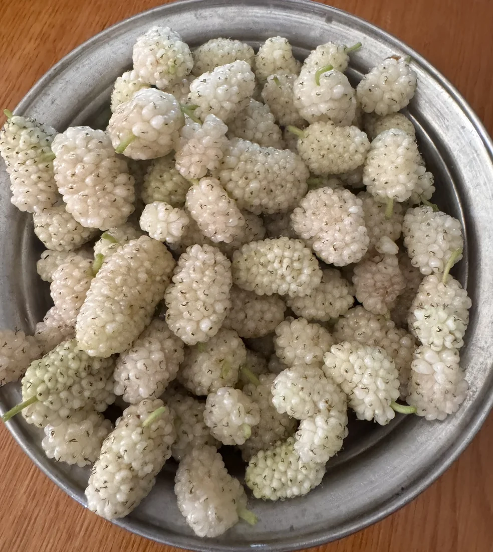 Ein Metallteller voller heller Maulbeeren.